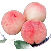 蒙陰水蜜桃紅桃子新鮮水果當(dāng)季現(xiàn)摘整箱包郵軟脆桃毛桃一件代發(fā)